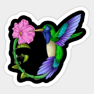 Colorful Colibri Sticker